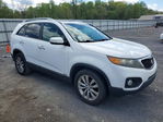 Kia Sorento 2011