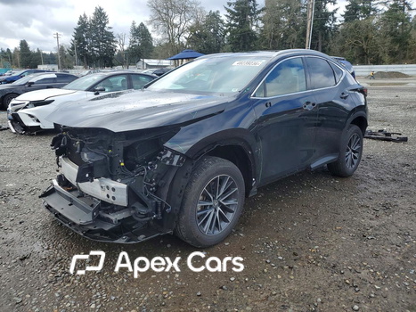 Lexus NX 2023 - Image 1 of 14