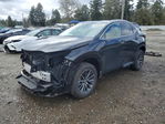 Lexus NX 2023