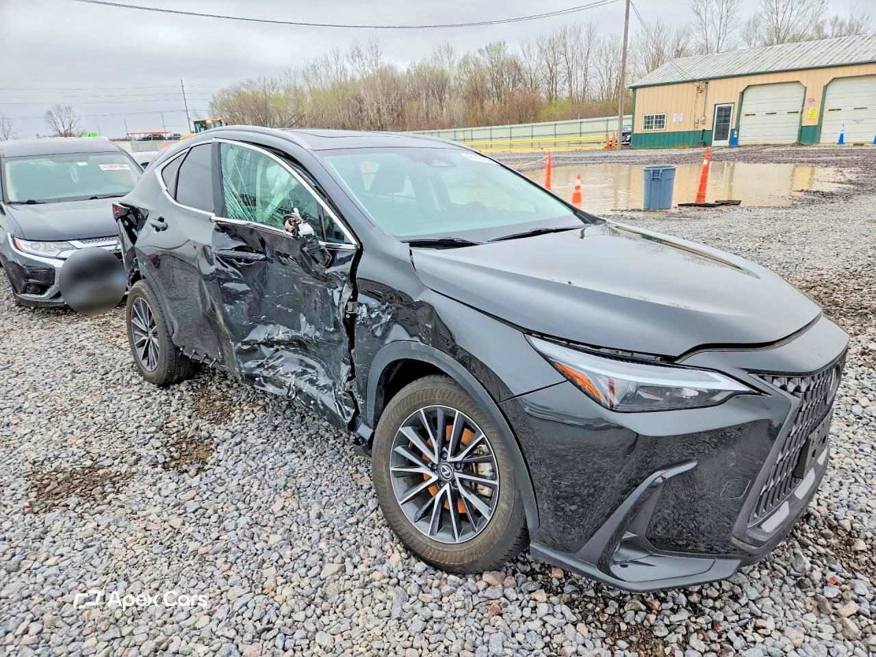 Lexus NX 2024