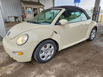 Volkswagen Beetle 2003