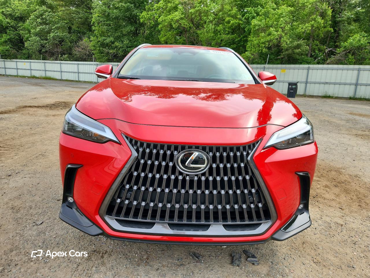Lexus NX 2025