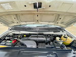 Ford Econoline 2013