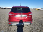 Ford Escape 2014