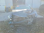 Honda Accord 2010