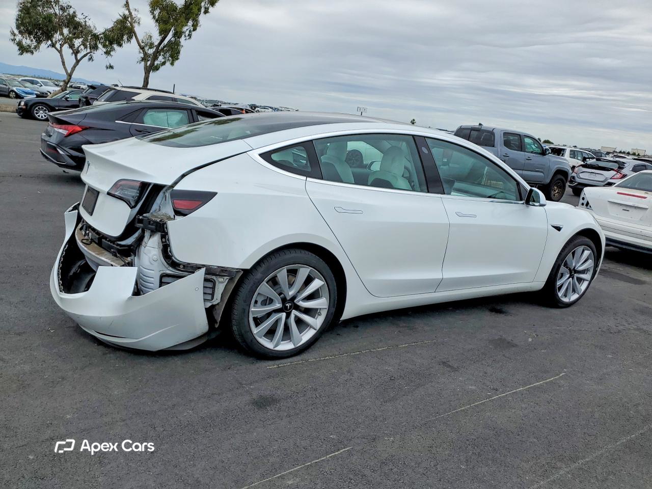 Tesla Model 3 2020