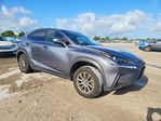 Lexus NX 2020