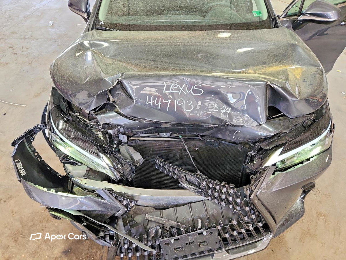 Lexus NX 2025
