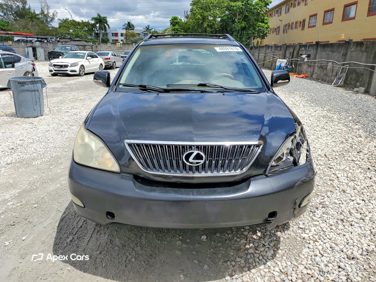 Lexus RX 2005