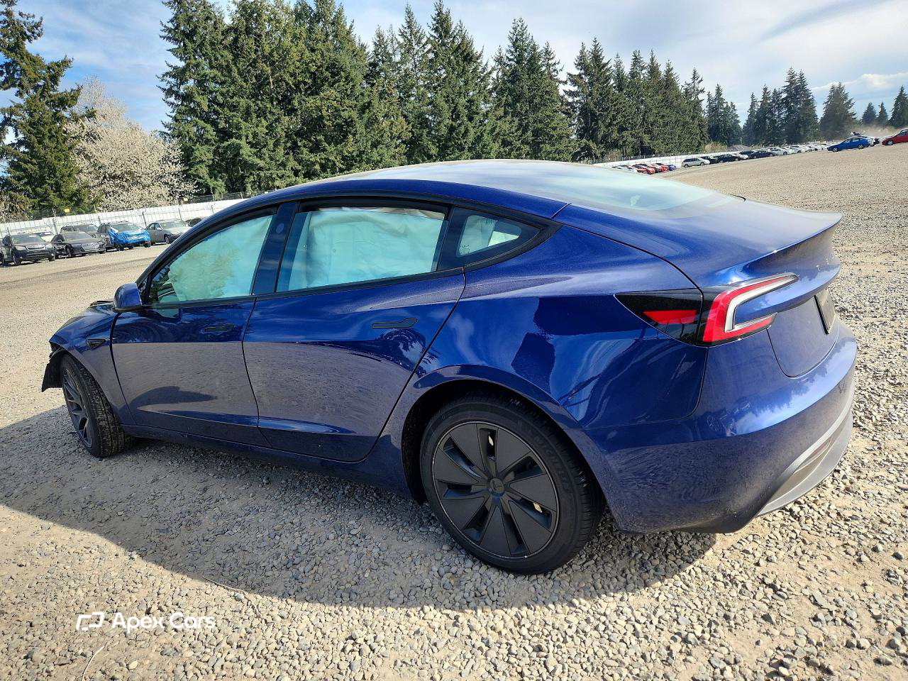 Tesla Model 3 2025