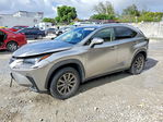 Lexus NX 2019