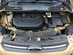 Ford Escape 2014