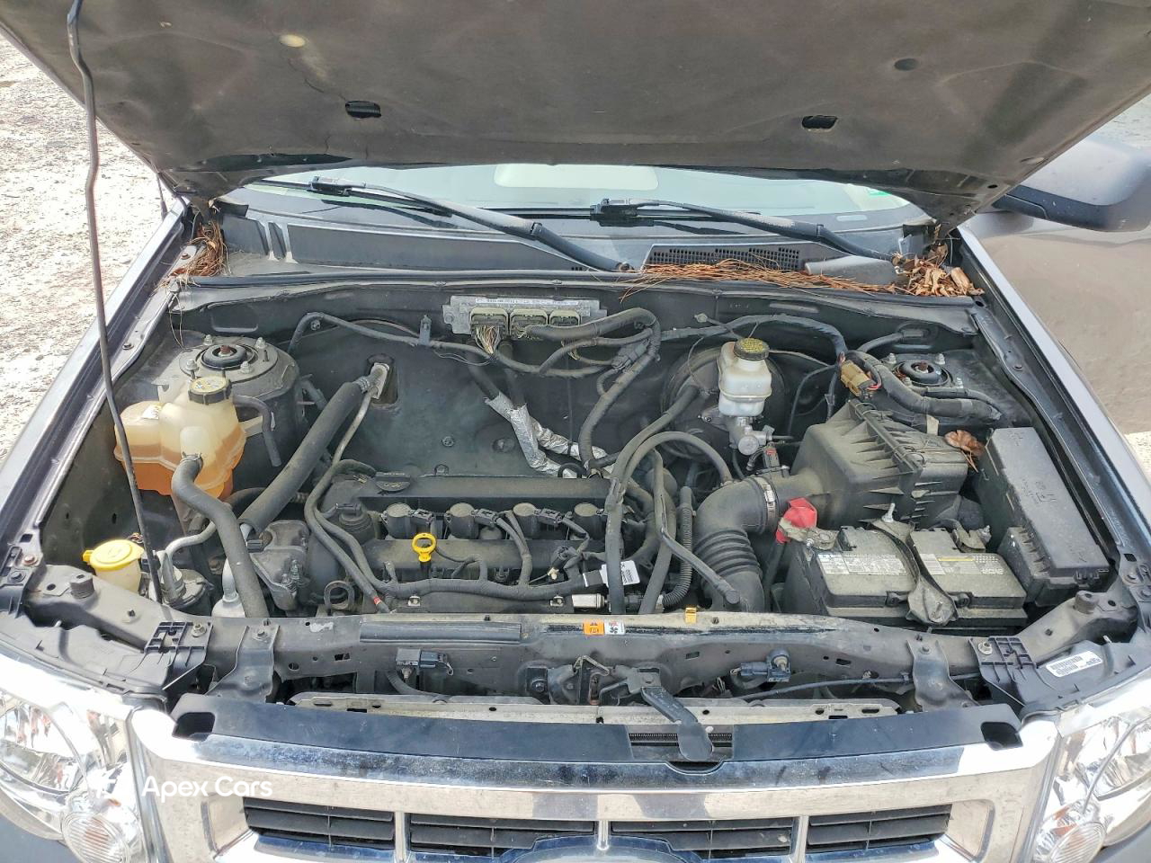 Ford Escape 2010