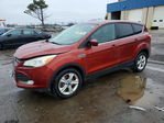 Ford Escape 2014