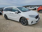 Honda Odyssey 2023