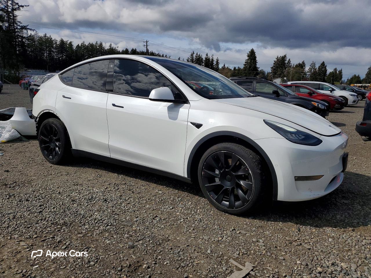 Tesla Model Y 2021