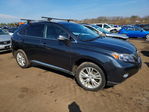 Lexus RX 2011