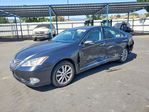 Lexus ES 2010