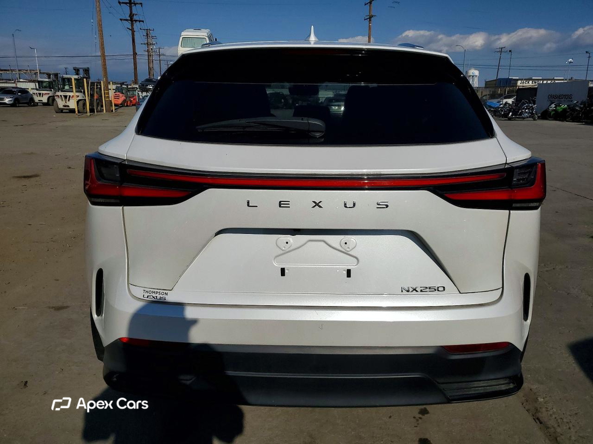 Lexus NX 2024