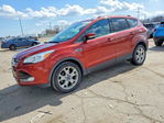Ford Escape 2015
