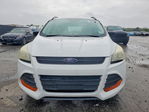 Ford Escape 2015