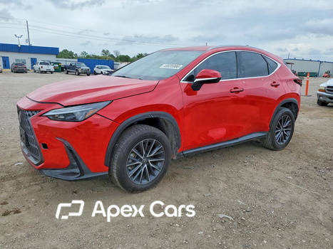 Lexus NX 2024 - Image 1 of 12