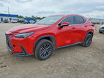 Lexus NX 2024