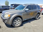 Ford Escape 2009