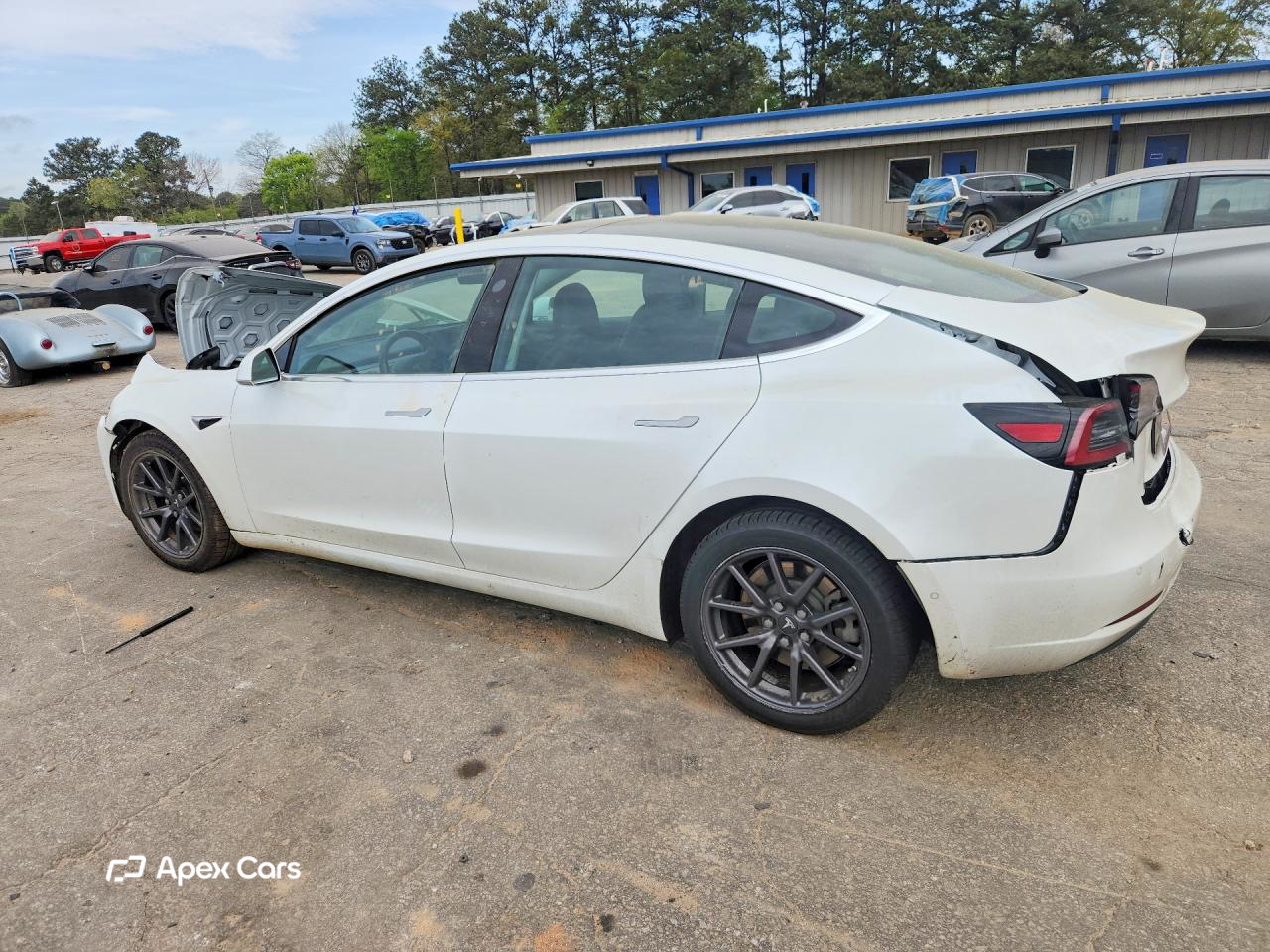 Tesla Model 3 2019
