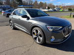 Audi e-tron 2019