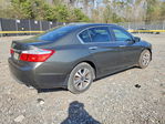 Honda Accord 2013