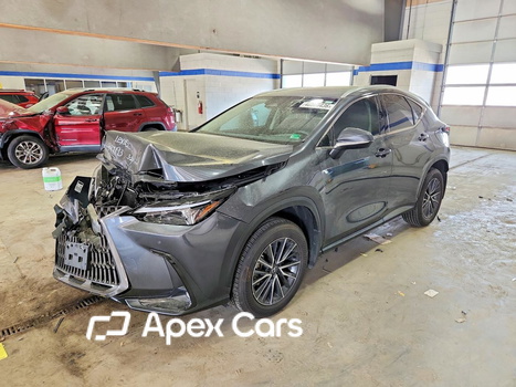 Lexus NX 2025 - Zdjęcie 1 z 13