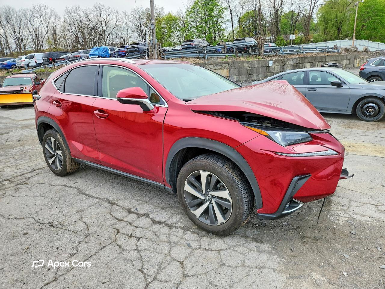 Lexus NX 2019