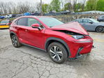 Lexus NX 2019