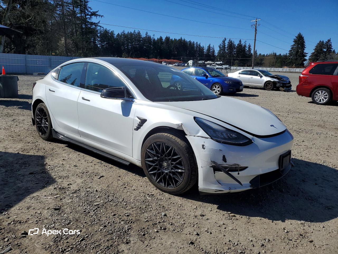 Tesla Model 3 2020