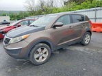 Kia Sportage 2013