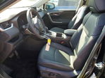 Toyota RAV 4 2025