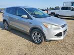 Ford Escape 2013