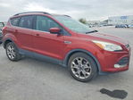 Ford Escape 2015
