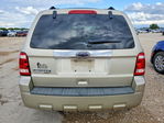 Ford Escape 2010