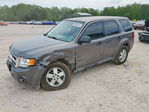Ford Escape 2010