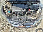 Honda Accord 2013