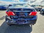 Lexus ES 2008