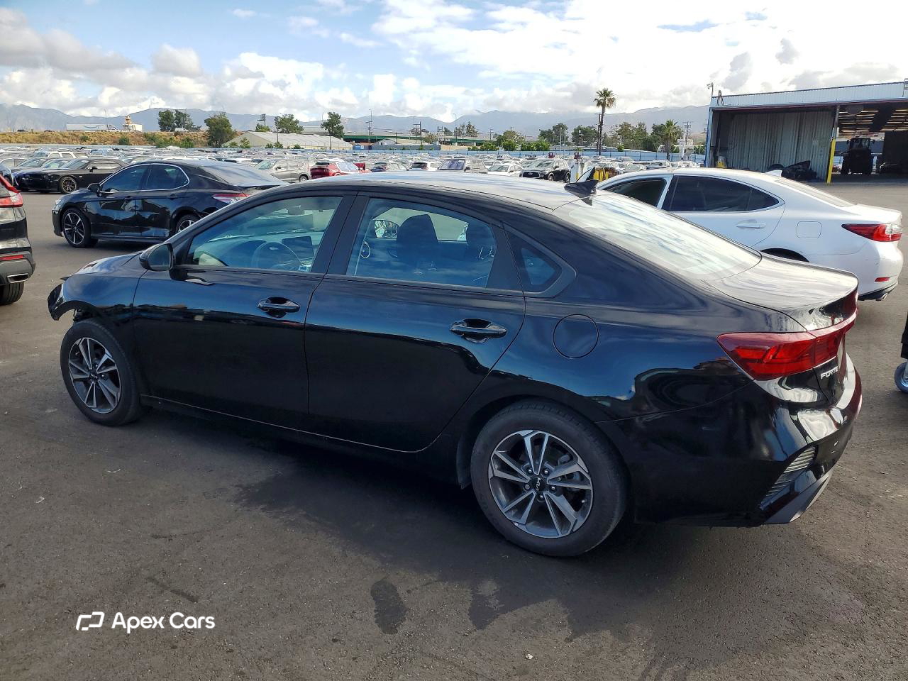 Kia Forte 2024