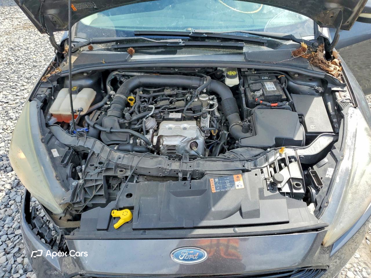 Ford Focus 2017