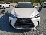 Lexus NX 2025