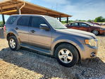 Ford Escape 2011