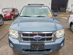 Ford Escape 2010