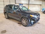 Kia Sorento 2013