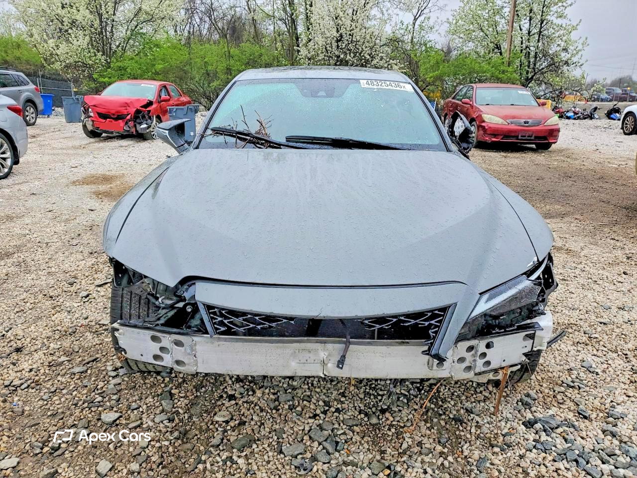 Lexus IS 2024